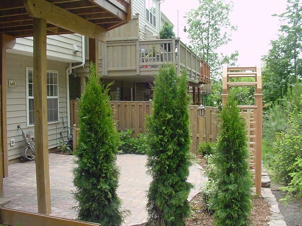 landscaping townhouse